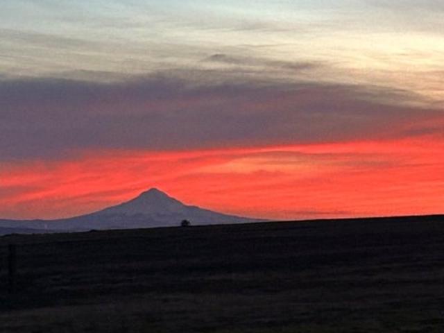 Land for sale in Bickleton, Washington