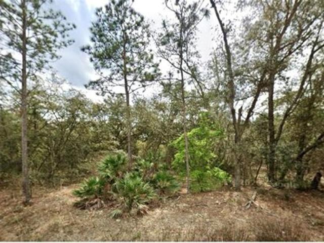 Land for sale in Interlachen Land for sale in Interlachen