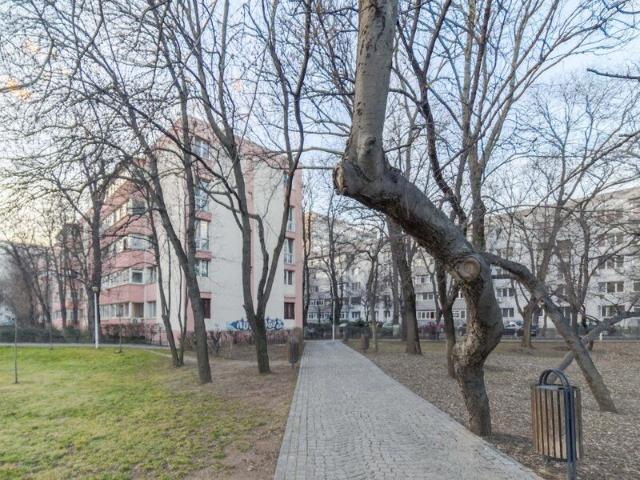 Cameră închirieri în București