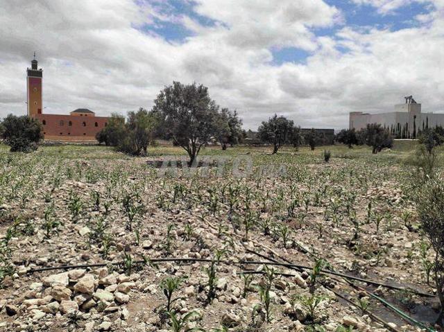 Propriété vente à Agadir, Oued ed Dahab-Lagouira