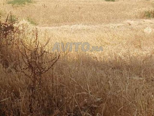 Propriété vente à Khénifra