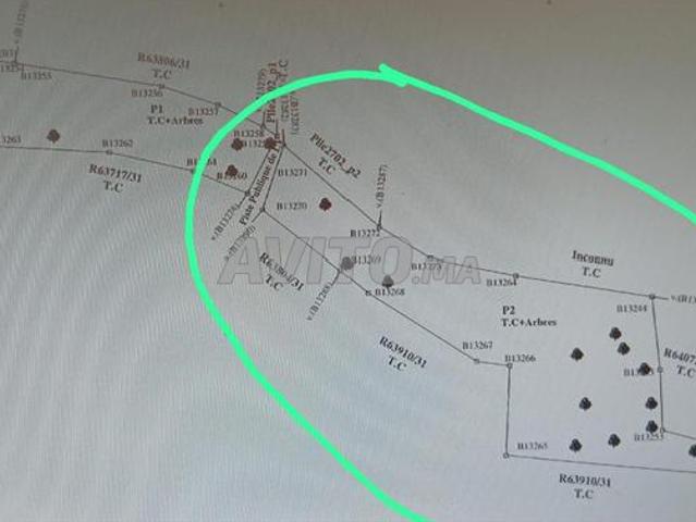 Propriété vente à Tiznit, Oued ed Dahab-Lagouira