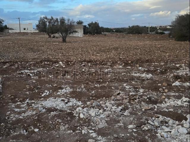 Terrain vente à Essaouira, L'Oriental