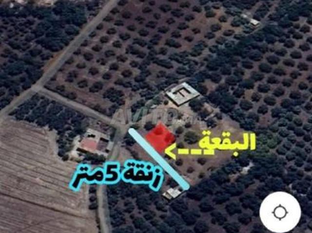 Propriété vente à Mellal