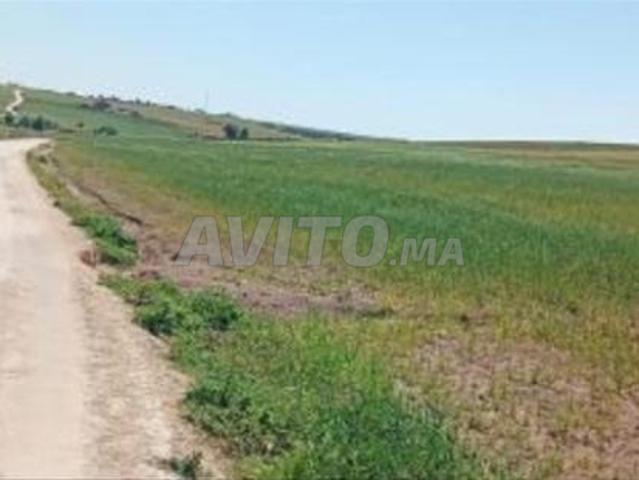 Propriété vente à Gharb-Chrarda-Beni Hssen