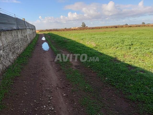 Propriété vente à El Ma, Gharb-Chrarda-Beni Hssen