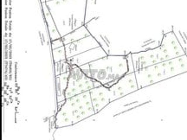 Propriété vente à Al Haouz, L'Oriental