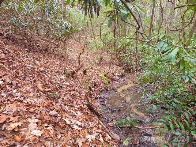 Land for sale in Brevard