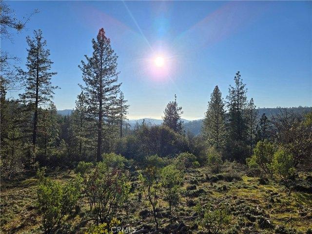 Land for sale in Brownsville, California