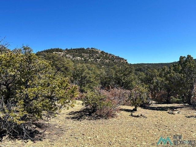 Land for sale in Catron, New Mexico