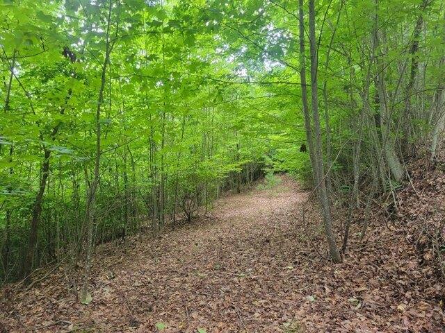 Land for sale in Hayesville