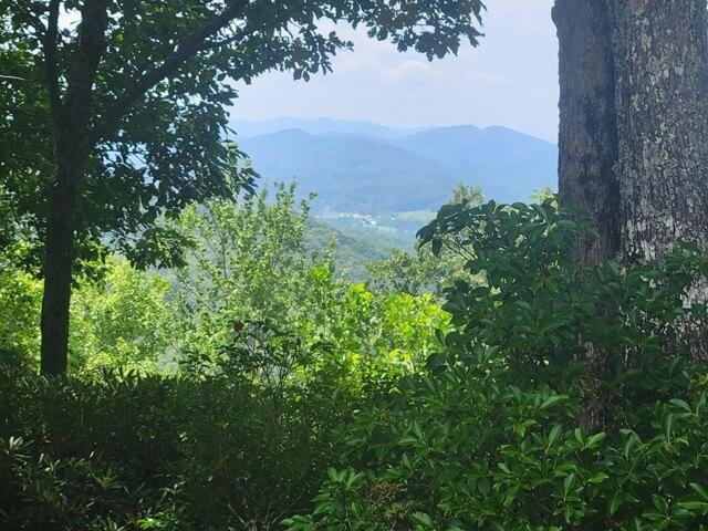 Land for sale in Hayesville
