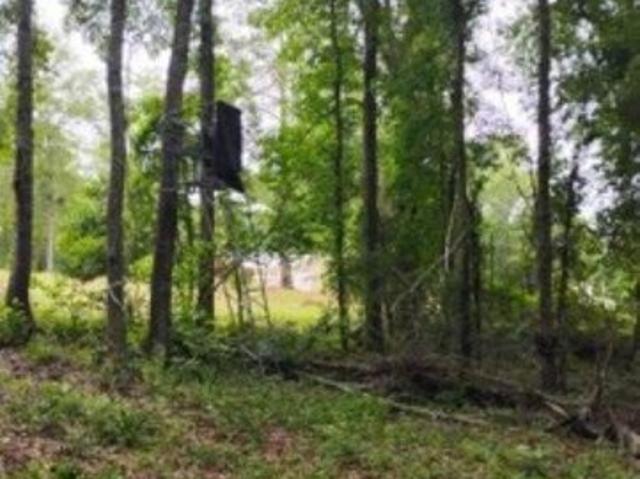 Land for sale in Blackville