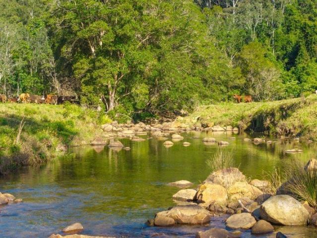 Cottage for sale in Kerewong, New South Wales