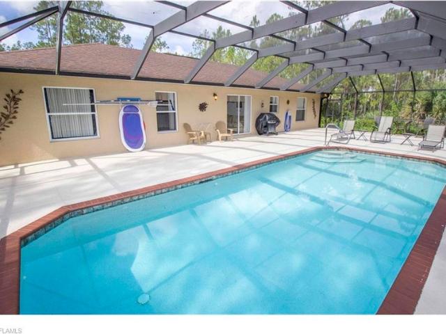 Room for rent in Florida