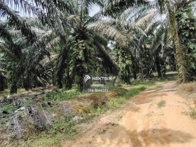 Residential House for sale in Johor Bahru, Johor