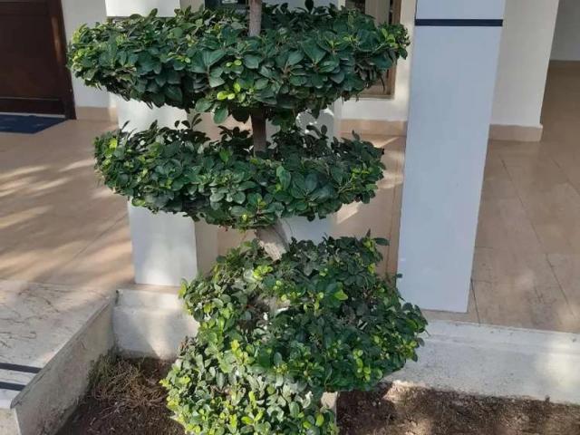 House for sale in Jhelum, Islamabad Capital Territory