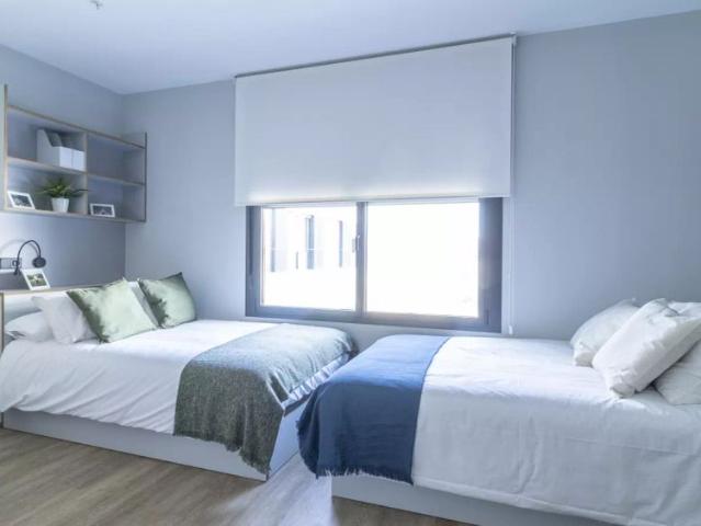 Estudio en alquiler en Casco Antiguo, Sevilla