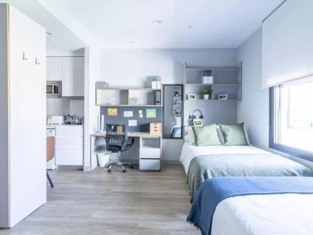 Estudio en alquiler en Casco Antiguo, Sevilla
