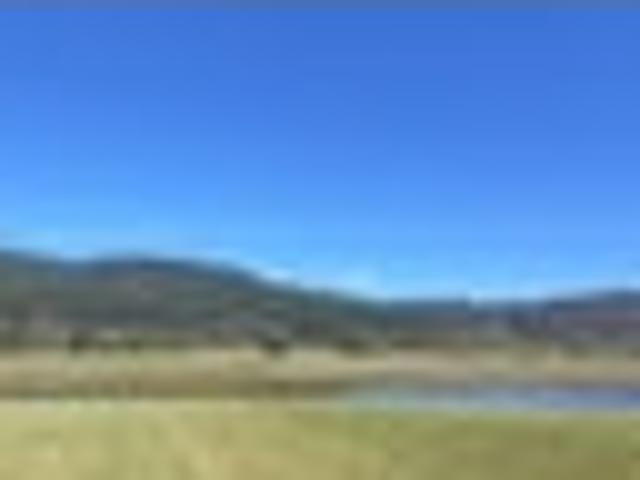 Land for sale in Waikato