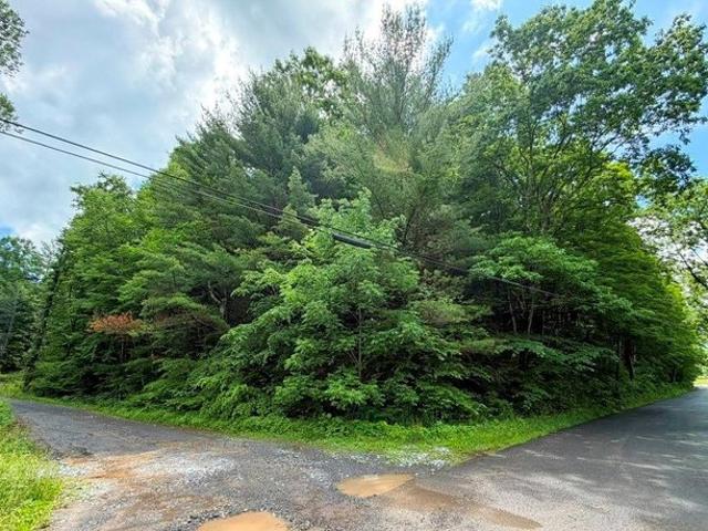 Land for sale in Virginia