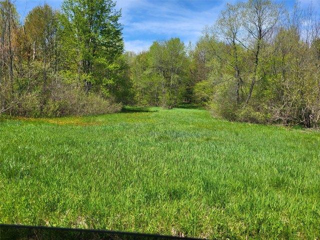 Land for sale in North East, Pennsylvania