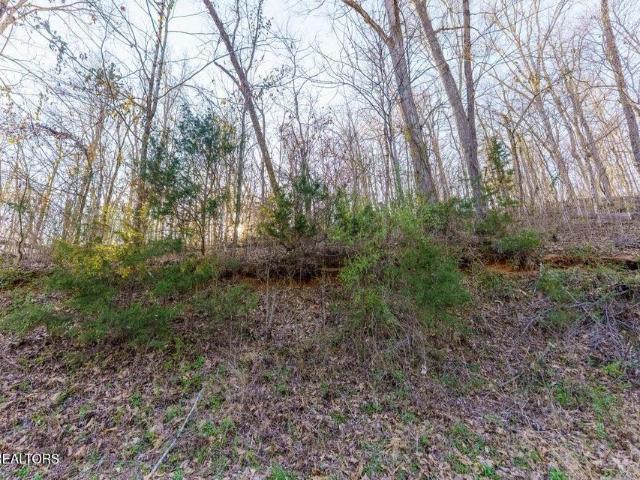 Land for sale in Henry Crossroads, Sevierville