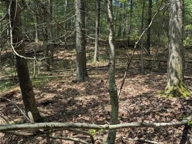 Land for sale in Forestdale, Rhode Island