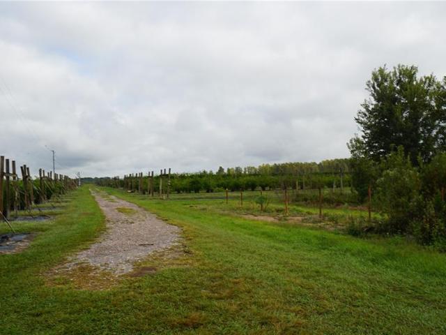 Land for sale in Mascotte, Florida