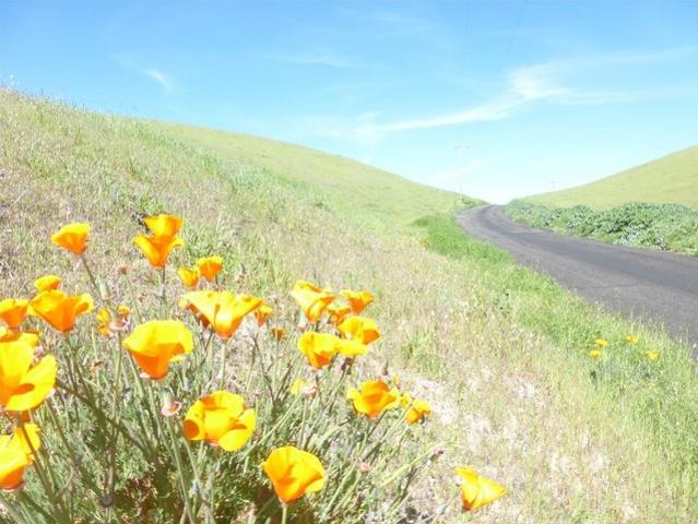 Land for sale in San Miguel, California