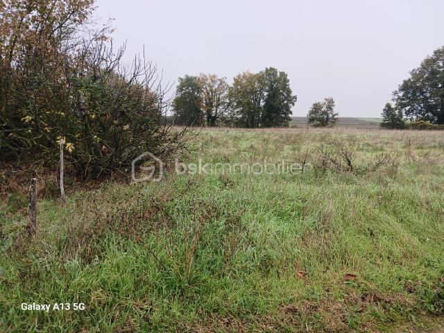 Terrain vente à Châtellerault, Doussay