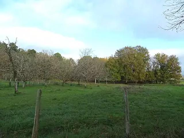 Terrain vente à Périgueux, Douzillac