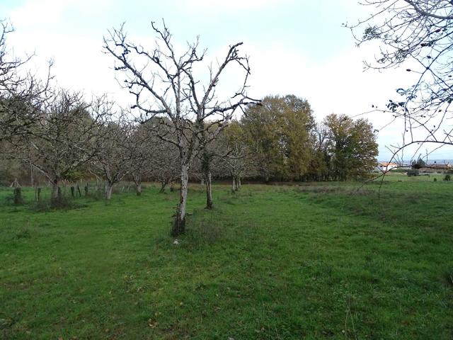 Terrain vente à Périgueux, Douzillac