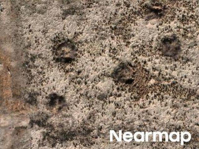 Land for sale in State Road, North Carolina