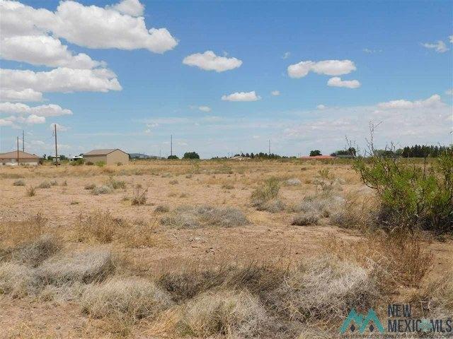 Land for sale in Luna, New Mexico