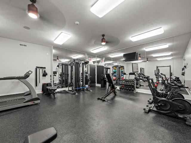 Apartment for rent in Kalamazoo, Michigan