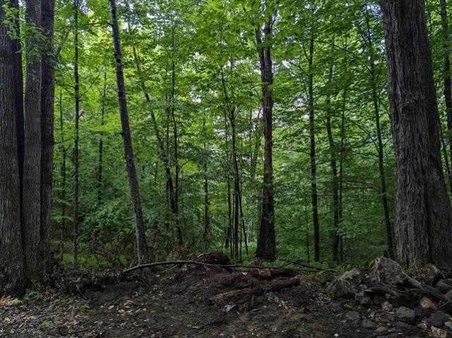 Land for sale in South Newfane, Newfane