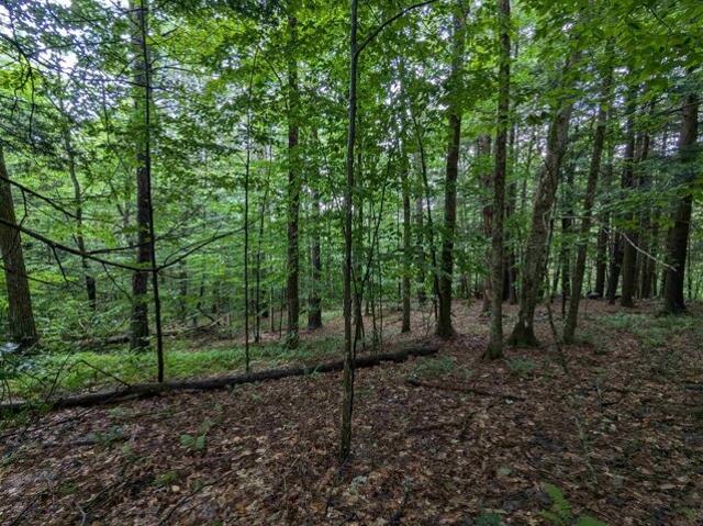 Land for sale in Newfane, Vermont