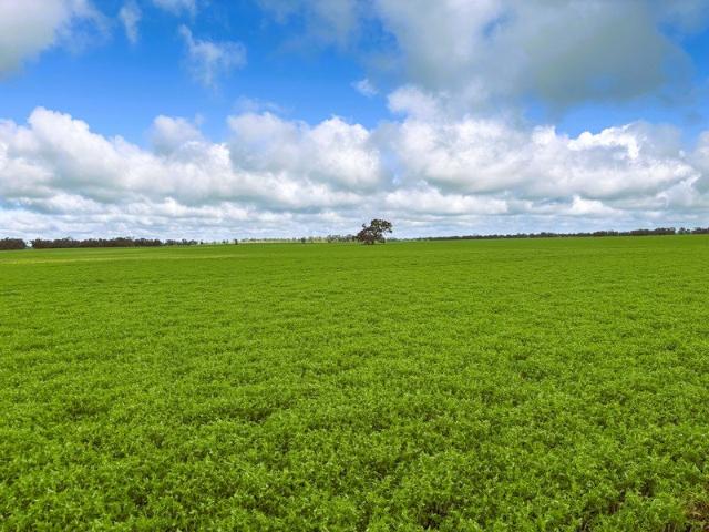 Property for sale in Litchfield, Victoria