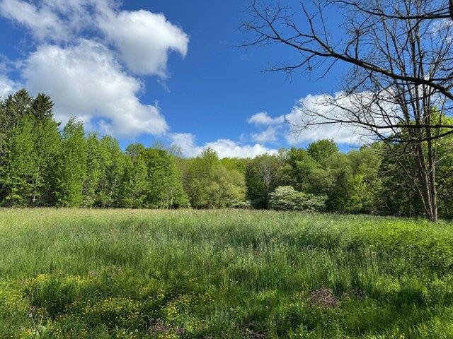 Land for sale in Laurens, New York