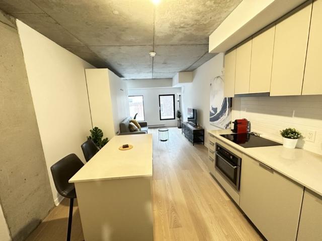 Apartment for rent in Quartier Chinois, Montréal