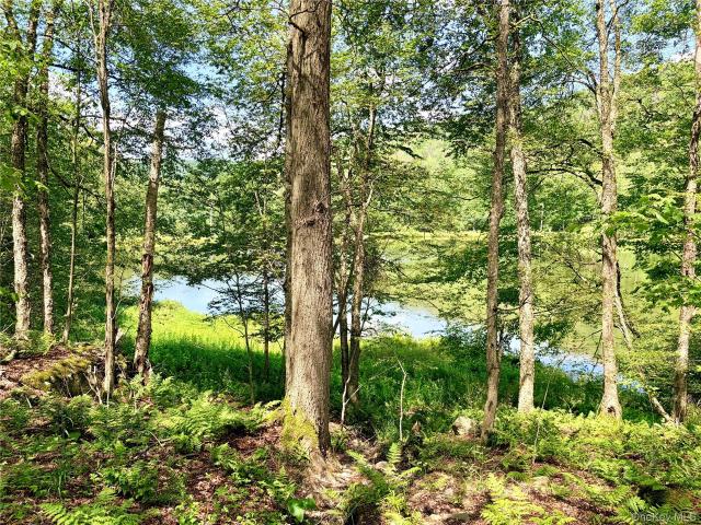 Land for sale in Roscoe, New York