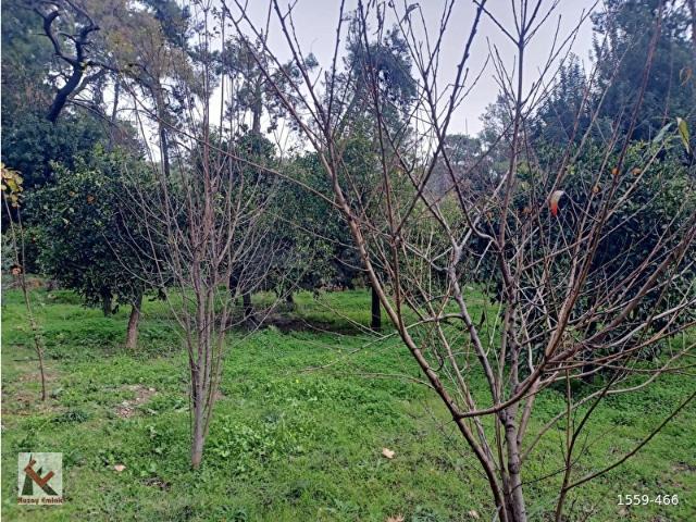 Konyaalti, Antalya içerisinde satılık Arsa