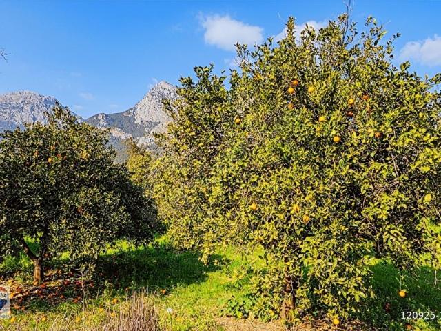 Konyaalti, Antalya içerisinde satılık Arsa