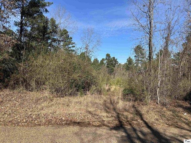 Land for sale in Farmerville, Louisiana