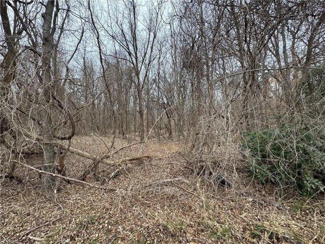 Land for sale in Virginia
