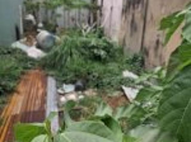 Bất động sản bán tại Hồ Chí Minh