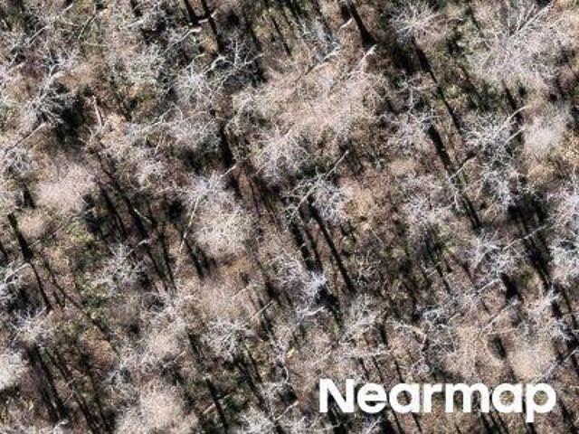 Land for sale in Schriever, Louisiana