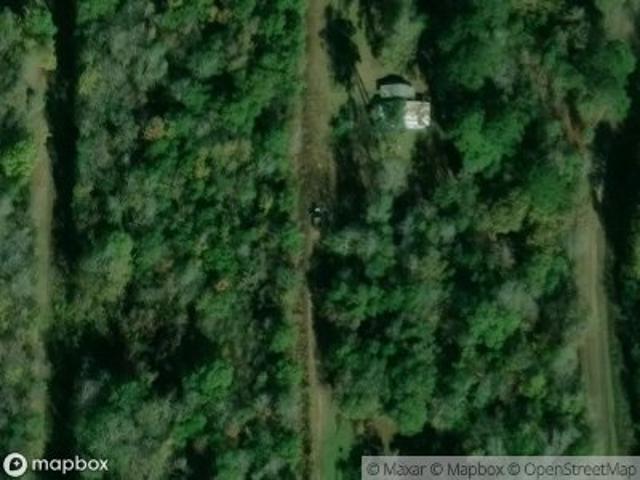 Land for sale in Village Mills, Texas