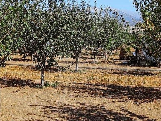 Büyük Gökçeli, Isparta Merkez içerisinde satılık Arsa